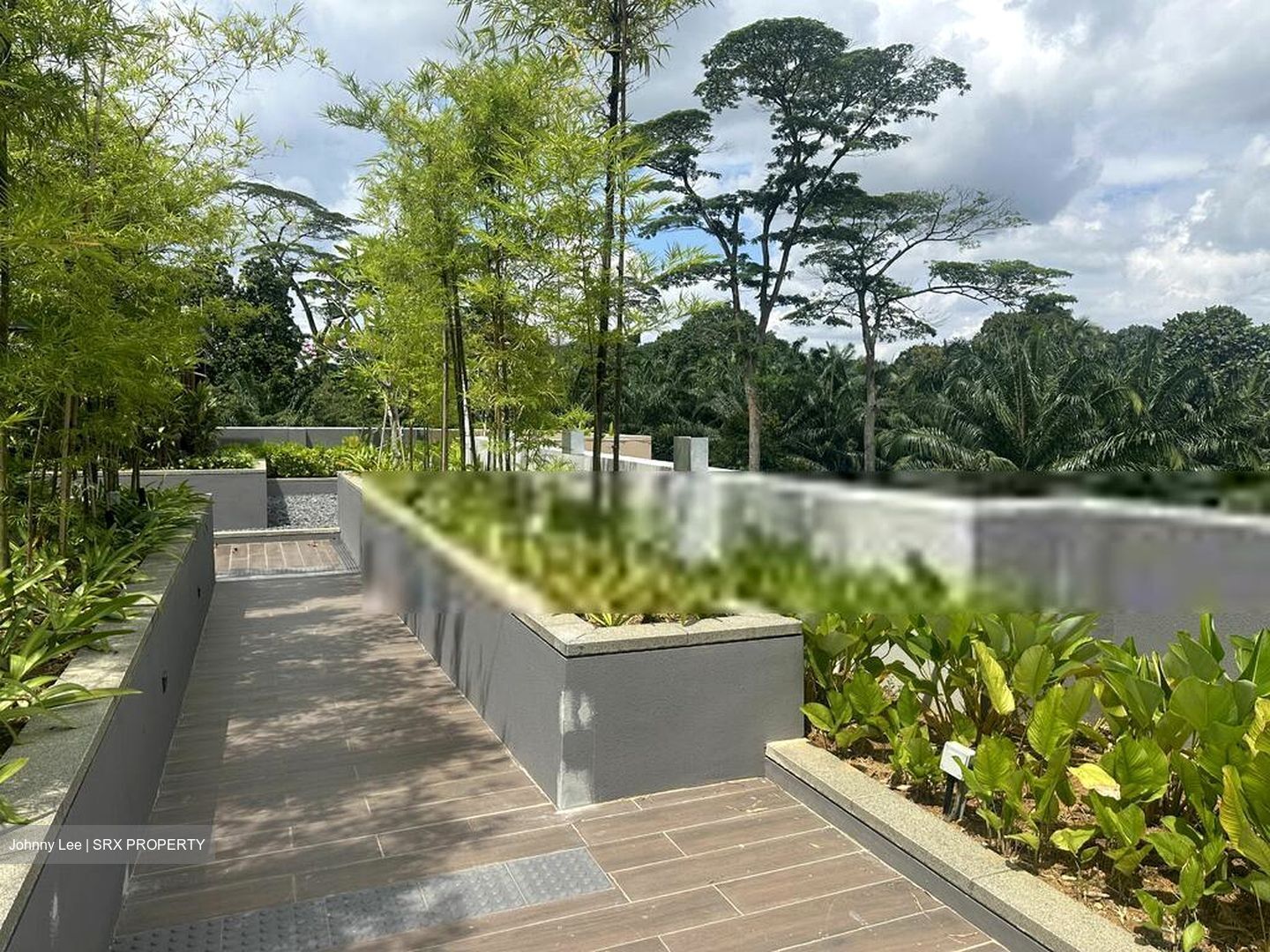 Verdale (D21), Apartment #576388331